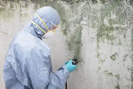 Bottineau, ND Mold Removal & Remediation Company